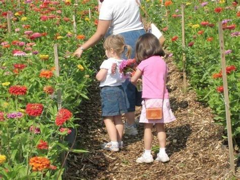 Read & Pick: Flowers - Terhune Orchards