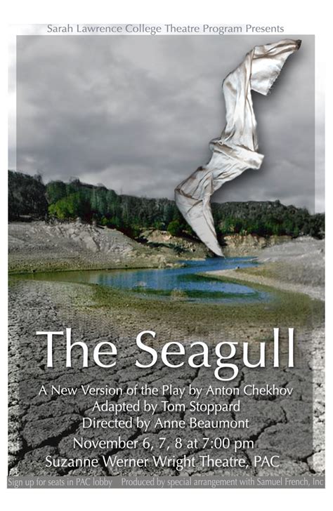 The Seagull in NY | Gary Ploski