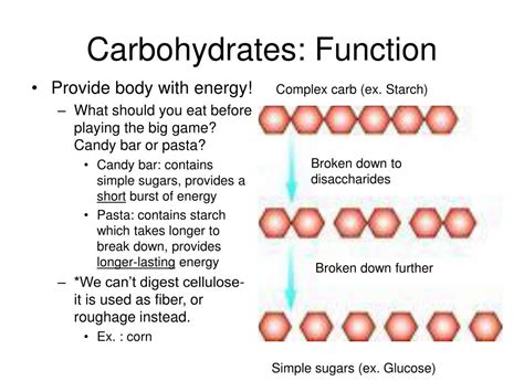 PPT - Macromolecules PowerPoint Presentation, free download - ID:1095921