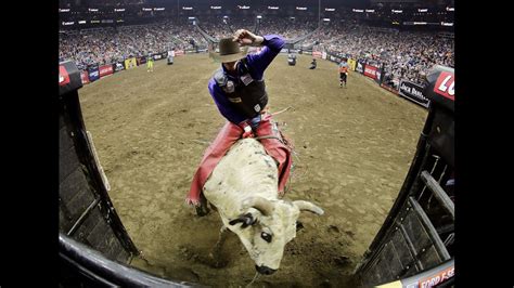 Bull rider dies after being injured during event at National Western ...