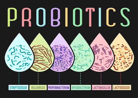 What Are the Most Common Probiotic Types which probiotics do what – ProbioticsEverything