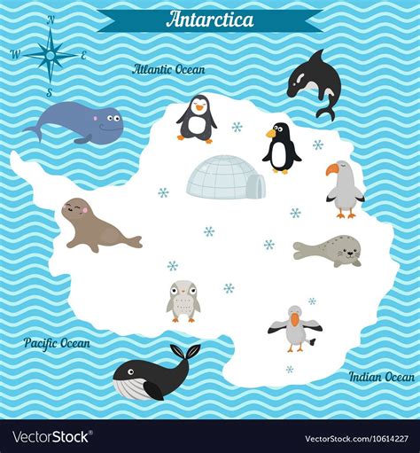 Map of antarctica continent with different animals | Cartoon map ...