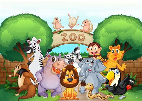 Cartoon Zoo | Karachi