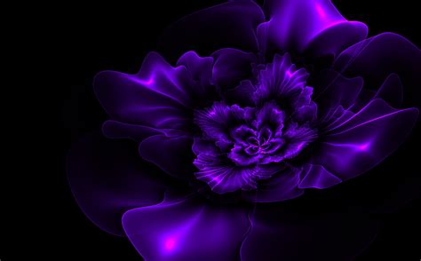 Dark Purple Roses Wallpaper - WallpaperSafari
