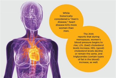 Can Hormones Affect Heart Health in Women? | MountainView Hospital