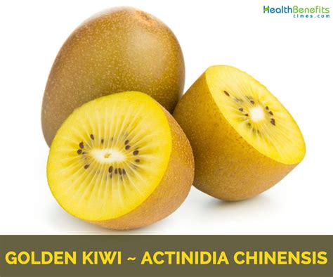 Golden Kiwi facts and health benefits