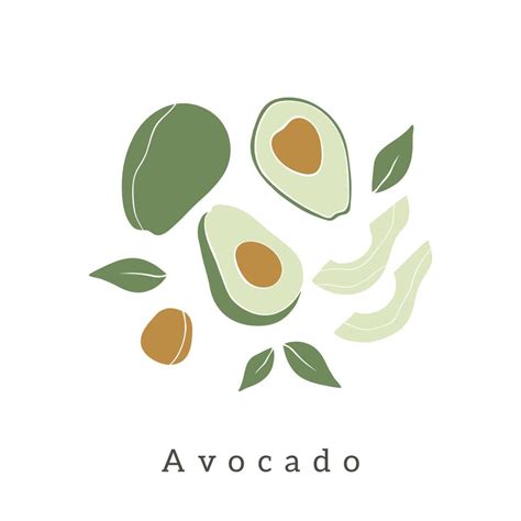 Stylish Avocado vector design. Contemporary art print. 8285637 Vector Art at Vecteezy