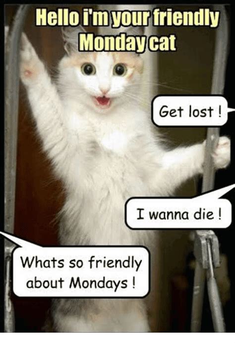 Monday Cat Meme Funny Image Photo Joke 02 | QuotesBae