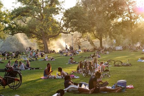 The Top 5 picnic spots in Amsterdam | Coolenator.com