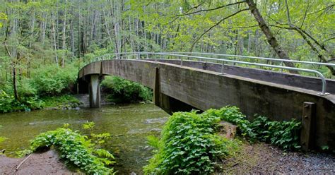 Sitka Parks & Trails | Best Hikes & Walks | ALASKA.ORG