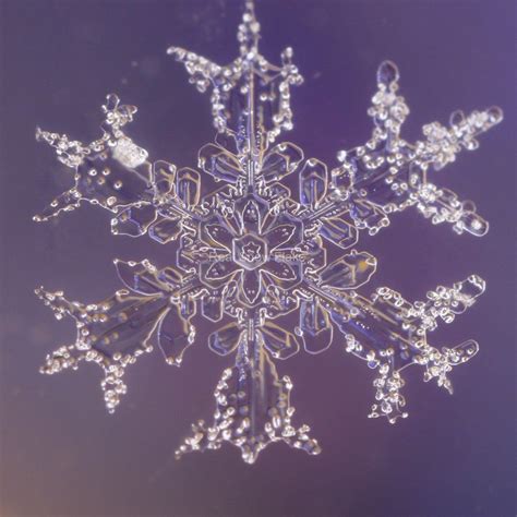 real snowflakes | Real Snow Flake Photography | Karla Jean Booth ...