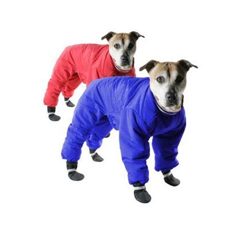 Winter Coats for Dogs: How to Tell if Your Dog Needs to Wear a Winter Coat | The Creek Line House