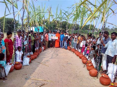 Celebration of Pongal at Nattarampalli, 2017 – Media Gallery