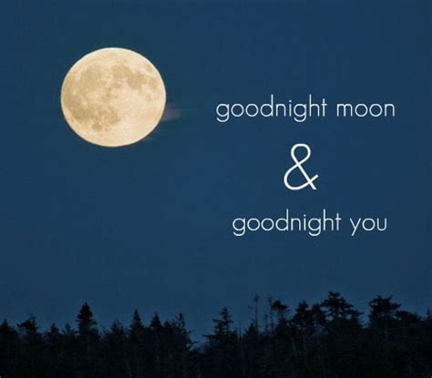 Goodnight Moon Book Quotes. QuotesGram