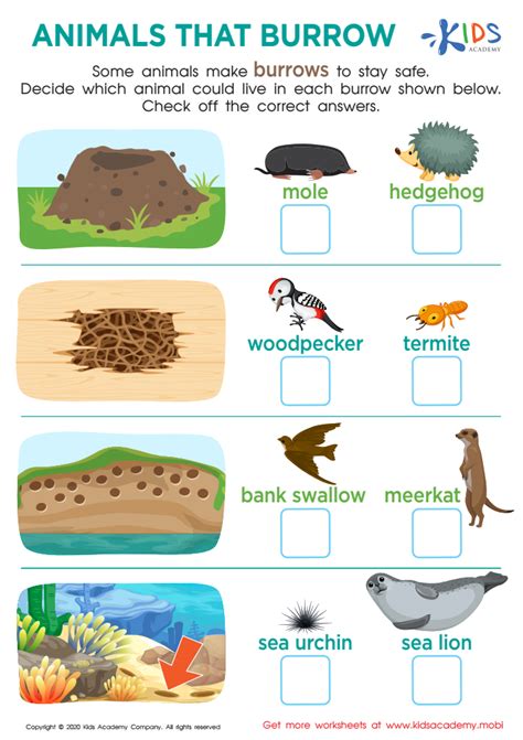 Animals That Burrow Worksheet for kids