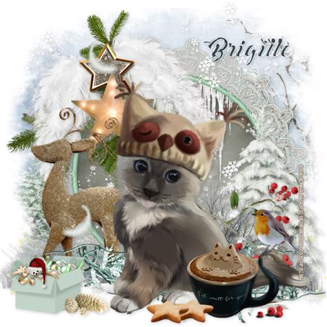 Pin by Brigitte Waschilowski on My Tubes Creations ~ ♥♥ KAJENNA ♥♥ ~ | Christmas ornaments ...