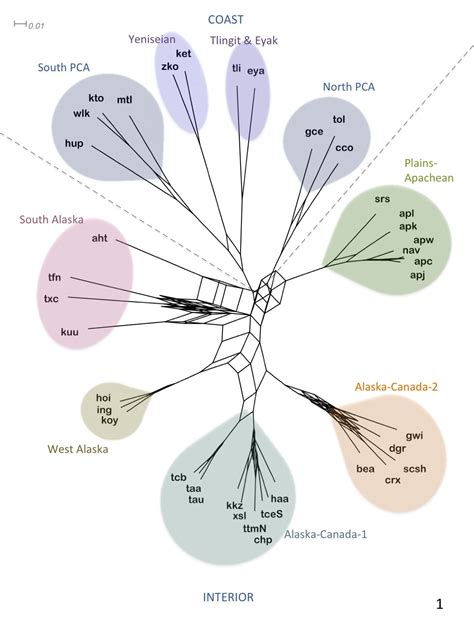 Language 'evolution' may shed light on human migration out-of-Beringia