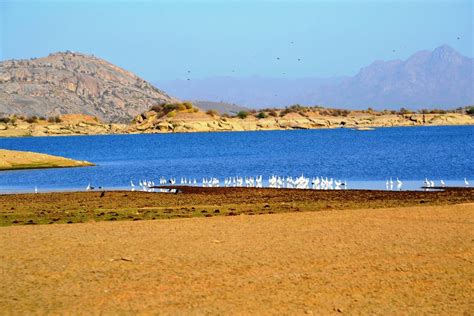 Jawai Dam (Pali) - ATUALIZADO 2022 O que saber antes de ir - Sobre o que as pessoas estão ...