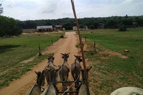 Tripadvisor | A day in Gaborone and Nature Tour provided by Heritage ...