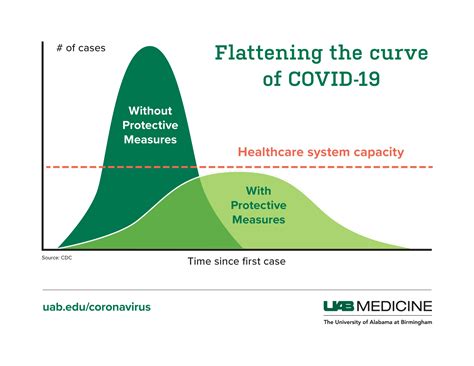 To stop spread of COVID-19, ‘flattening the curve’ is critical - News | UAB