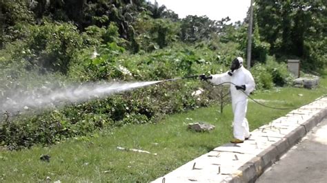 Fumigation Process - YouTube