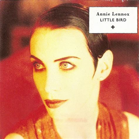 Annie Lennox - Little Bird (1993, CD) | Discogs