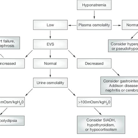 Flowchart of the diagnostic work-up for hyponatremia. Abbreviations:... | Download Scientific ...