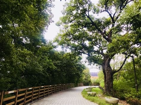 The Jeonbuk National University Campus Dullae-gil (Walking Trail)