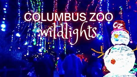 Columbus Zoo Wildlights | 4K Walk-through | Ohio - YouTube