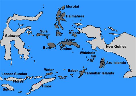 Moluccas - BirdForum Opus | BirdForum