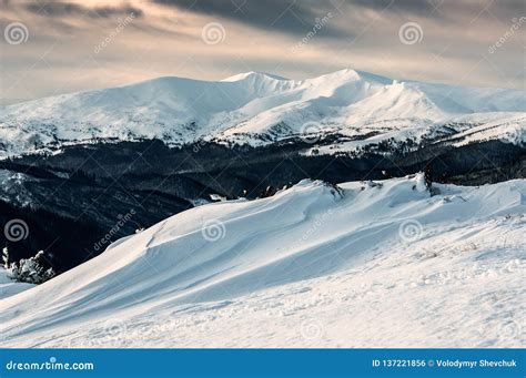 Winter in Carpathian Mountains Stock Photo - Image of mountains, icicle ...