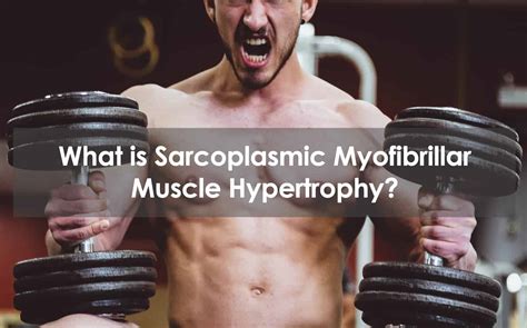 Sarcoplasmic Hypertrophy Workout Plan | EOUA Blog