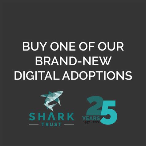 Great White Shark Adoption (Digital) – The Shark Trust