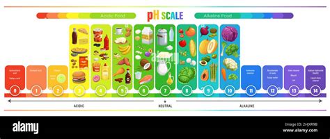 PH scale chart, acid balance of nutrition measure meter and food ...