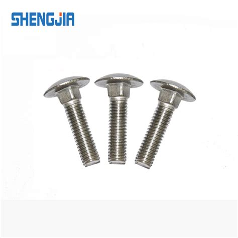 Round Head Square Neck Bolt DIN 603 Stainless Steel - China Carriage ...