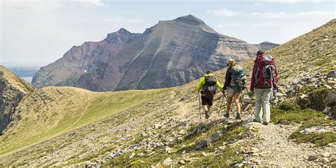 Guided Hiking Trips - Glacier National Park (U.S. National Park Service)