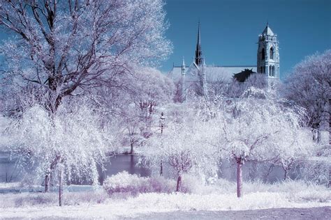 Cathedral Basilica The Sacred Heart IR Photograph by Susan Candelario - Fine Art America