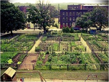 Orti urbani: cosa sono e quando nascono - Biorfarm