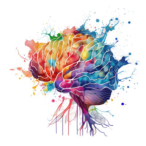 Premium Photo | Watercolor illustration colored brain two hemispheres ...