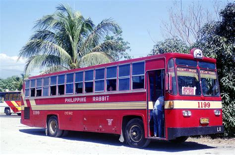 I.D.s 239 & 23731 photographed by John Ward on 1990-02-09 of Philippine ...