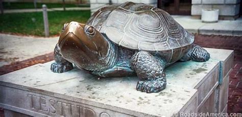 Testudo the Diamondback Terrapin, College Park, Maryland