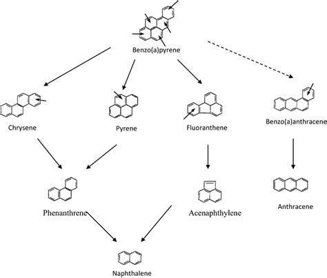 The scheme of benzo[a]pyrene transformation in low molecular weight ...