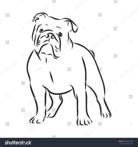 1,524 Sketch English Bulldog Images, Stock Photos & Vectors | Shutterstock