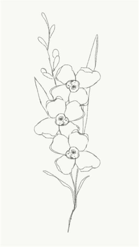 Minimalist Flower Drawing Sketch