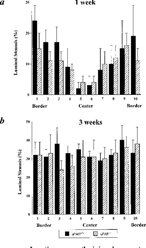 Figure 4 from Receptor-independent Role of Urokinase-Type Plasminogen Activator in Pericellular ...