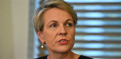 Politics Podcast: Tanya Plibersek on Labor’s taxing times