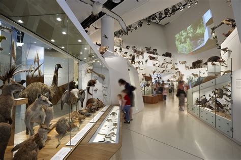 Museums Victoria introduces Museum at Home - Museums Victoria