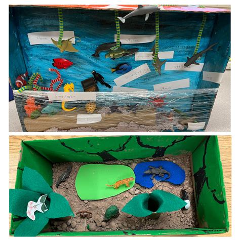 Habitat Dioramas - St. Mary's French Immersion