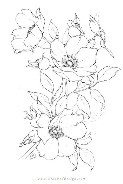 a drawing of some flowers on a white background