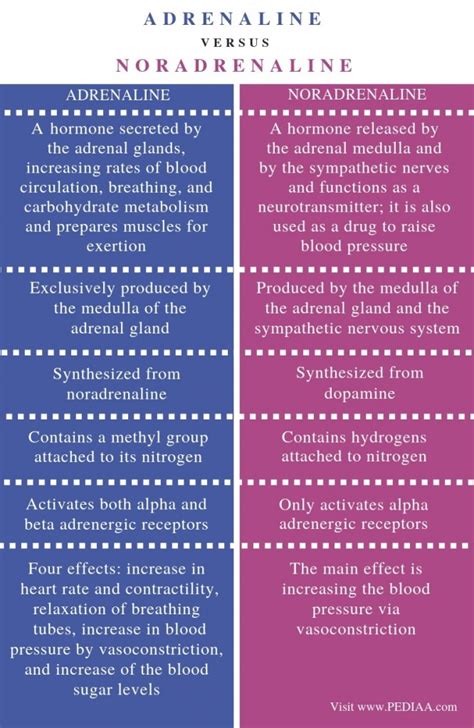 What is the Difference Between Adrenaline and Noradrenaline - Pediaa.Com